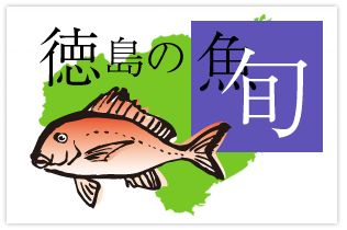 徳島の魚-旬-